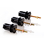 TEMPLADOR CON PERNO 1/4 X 3"